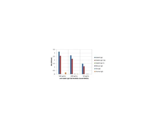 62-8369-70 Goat Anti-Rabbit IgG Fab Antibody, clone RMG01 04-1648