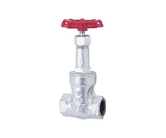 65-1881-40 Ductile Iron Gate Valve (10 SMS) Nominal Diameter 15 mm 10SMS15A