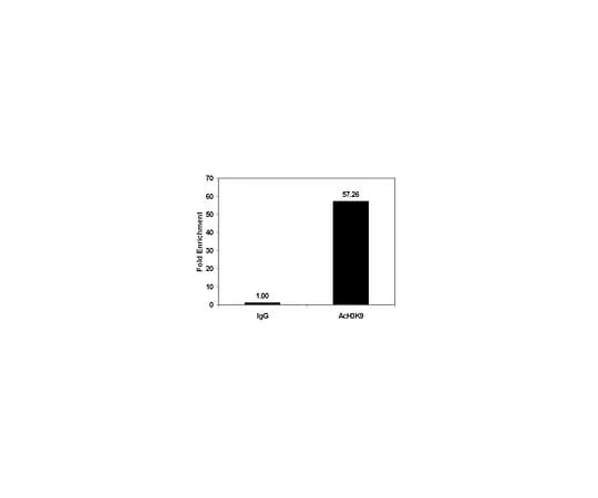 62-8393-72 ChIPAb+ Acetyl-Histone H3 (Lys9) Purified; 25 assays 17-658