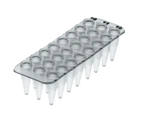61-9708-95　［Discontinued］Treff PCR Plate 24 Wells Non-Skirt　96.10812.9.01