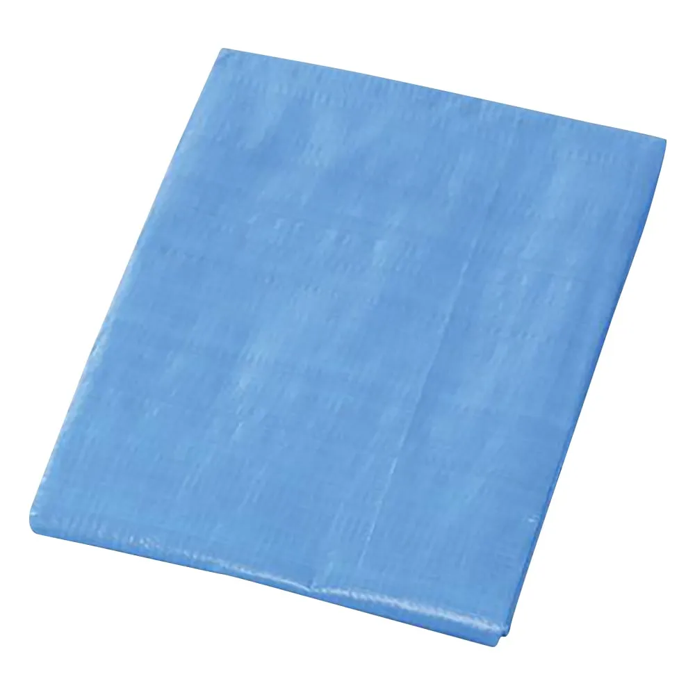 2-9754-01 Blue Sheet Thick Plastic Eyelet 8 Pcs 1.8m x 1.8m BLS-01