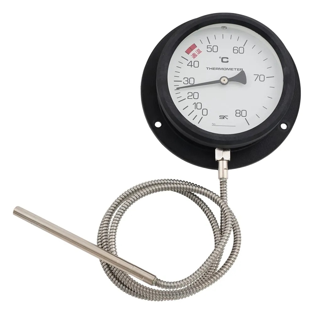 1-2584-01-56 Wall-mounted Spatial Thermometer 0 ~ 80℃ with English Calibration Certificate VB-100P