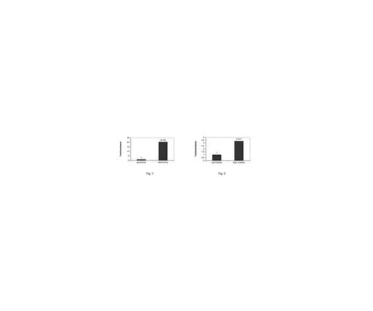 62-8389-90 Anti-EED; 100 μg 09-774