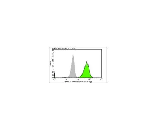 62-8392-59 Anti-phospho-EGFR (Tyr1173), clone 9H2, Alexa Fluor(R) 488 conjugate; 25 μg 16-244
