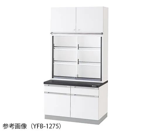 3-5774-11 Chemical Instrument Cabinet 900 x 400/750 x 2400mm YFB-975