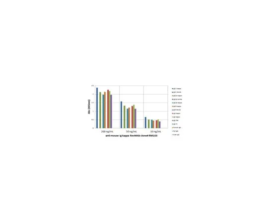 62-8369-64 Rabbit Anti-Mouse Ig kappa light chain Antibody, clone RM103 04-1642