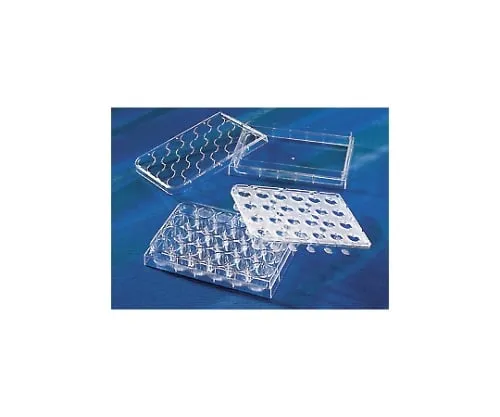 61-4688-18 Transwell Insert Integrated Type 24 Wells 0.4μm, Cell Cultivated Surface Treatment Processed (Individual) 3396