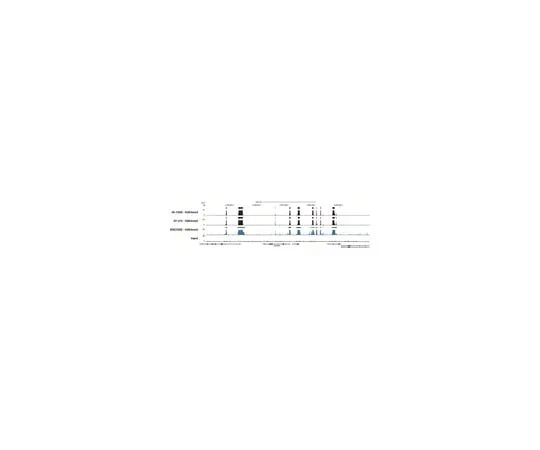 62-8372-70 Anti-Trimethyl-Histone H3 (Lys4), clone 15-10C-E4, Recombinant; 100 μL 05-745R