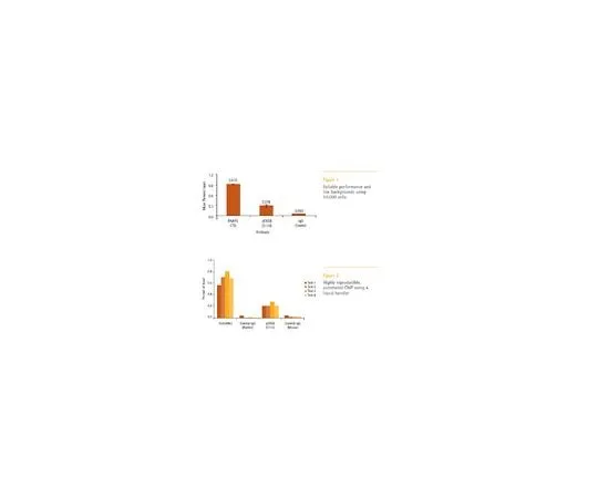 62-8394-11 EZ-Magna ChIP(TM) HT96 Chromatin Immunoprecipitation Kit; 96 assays 17-10078