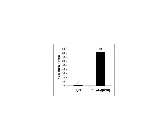 62-8385-26 Anti-trimethyl-Histone H4 (Lys20), Trial Size 07-463-S