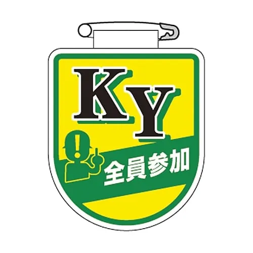 61-3425-65 Vinyl Emblem Ky Participation By All The Members Chest 33 126033