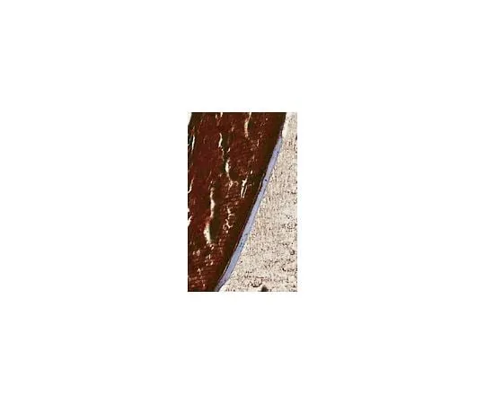 62-8466-04 Anti-alpha B-crystallin; 100 μg ABN185