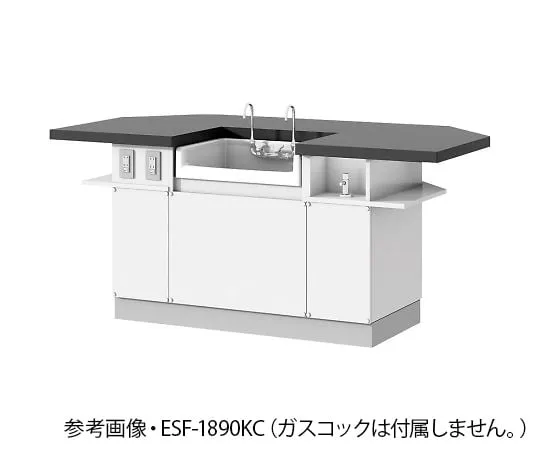 4-1151-01 Student Laboratory bench (face-to-face type) ESF-1890KCL