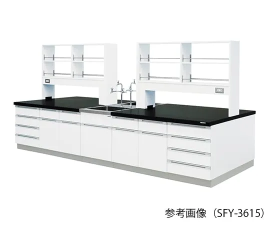 3-7944-01 Laboratory center bench (Wood Type) 2400 × 1200 × 800/1800mm SFY-2412