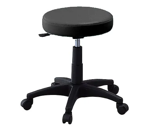 2-8029-01 Round Chair DX Black GS010-VBK