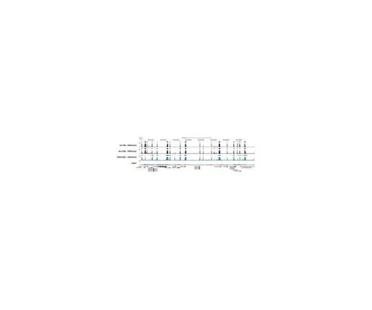 62-8368-57 Anti-dimethyl-Histone H3 (Lys4), clone AW30; 100 μL 04-790