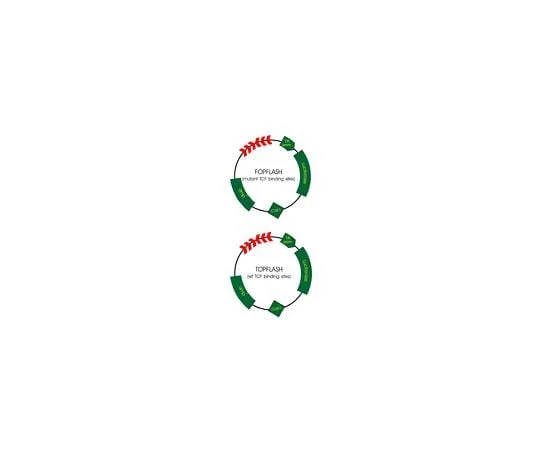62-8393-13 TCF Reporter Plasmid Kit; 1 kit 17-285