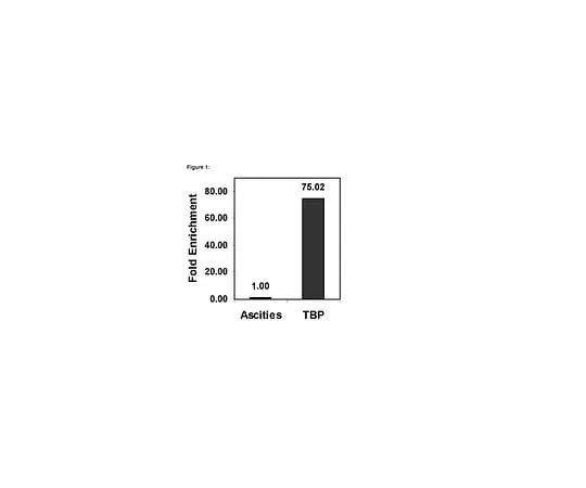 62-8394-16 ChIPAb+ TATA Binding Protein (TBP); 25 assays 17-10098