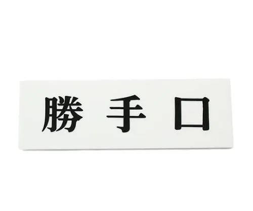 61-7410-62 Back-Door 150mm x 50mm x 2mm UP515-45