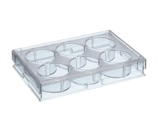 62-0891-38　［Discontinued］6 Hole Flat Bottom Plate with Lid Sterilized　4846-06FS