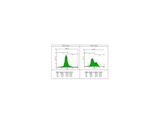 62-8392-30 Anti-phospho-Histone H2A.X (Ser139), clone JBW301, FITC conjugate; 100 μg 16-202A