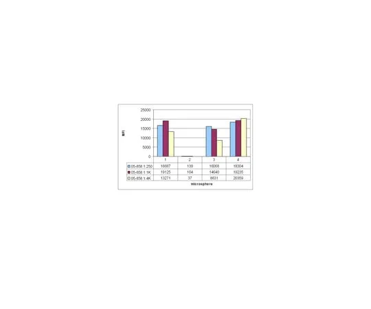 62-8373-44 Anti-Histone H4, pan ; 100 μL 05-858