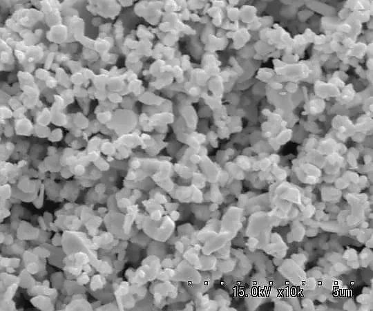 3-3053-01 Gold (Au) Powder D***ritic 0.3 - 0.6μm TA-2