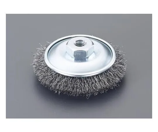 63-3261-93 Bevel Type Wire Brush EA809YS-21