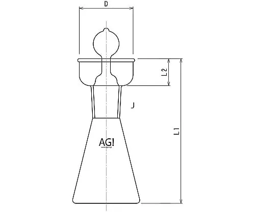 61-3629-39 Lodine Flask 100mL 3254-100-4M