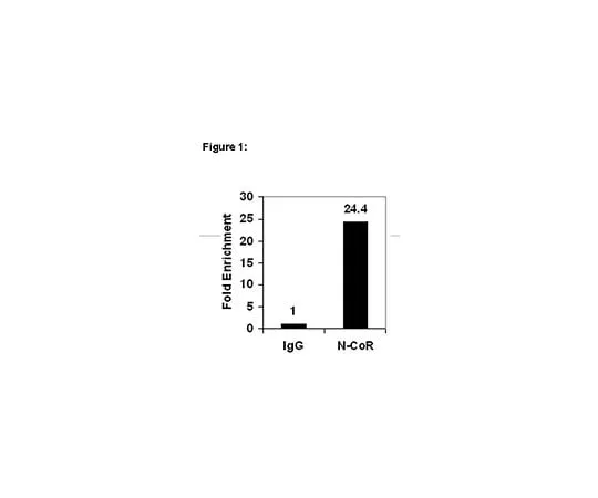62-8394-80 ChIPAb+(TM) N-CoR; 25 assays 17-10260