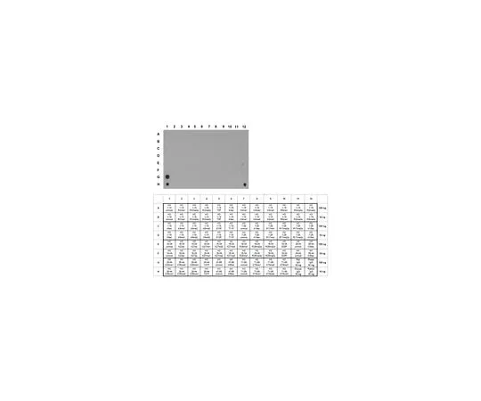 62-8460-82 Anti-monomethyl-Histone H3 (Lys36), Trial Size ABE244-S