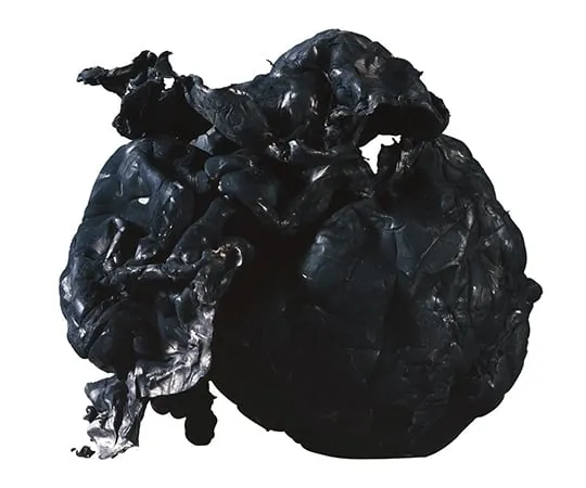 3-7979-01　［Discontinued］Carbon Nanotube (eDIPS)　ECL1