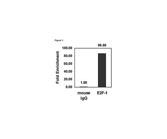 62-8394-07 ChIPAb+ E2F-1; 25 assays 17-10061