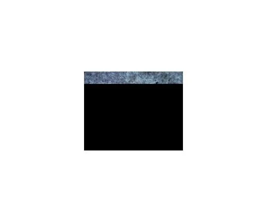 62-8465-31 Anti-GRIP-1, C-terminus; 100 μg ABN27