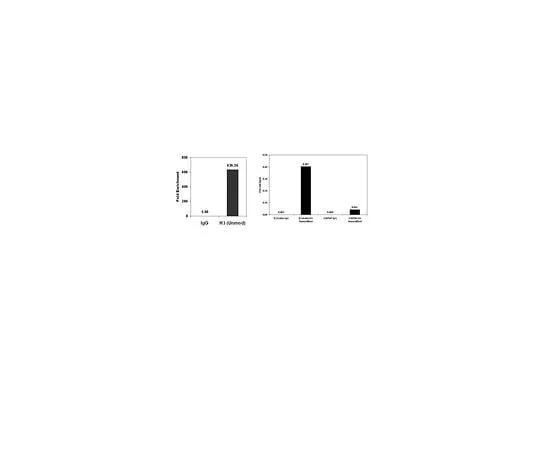 62-8393-78 ChIPAb+ Histone H3 (Unmodified Lys4); 25 assays 17-675