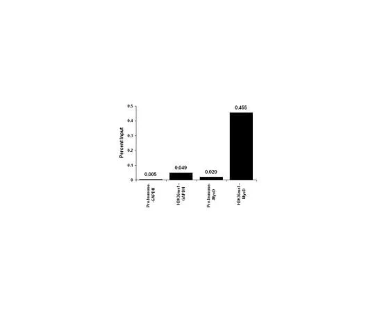 62-8385-65 Anti-monomethyl-Histone H3 (Lys36); 100 μL 07-548