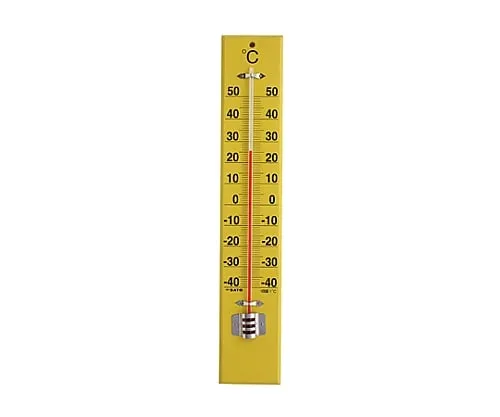 61-0065-57 Large Wooden Thermometer SK Expression 45 Type 1530-10