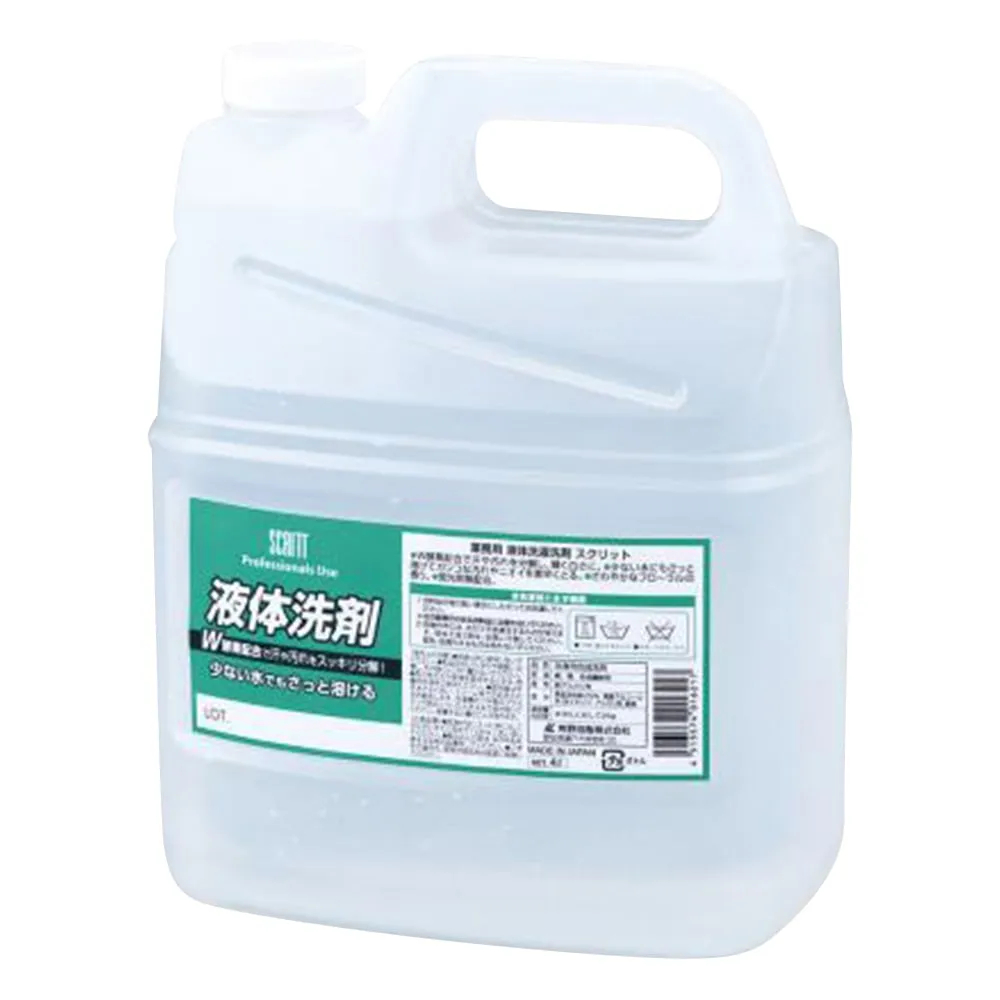 2-9168-01 Liquid Detergent 4L 4229