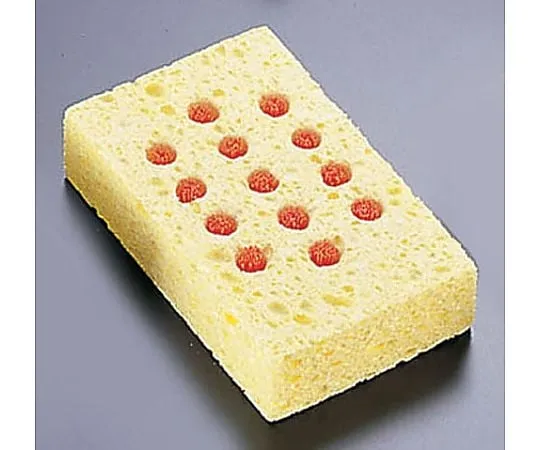 62-6602-53　［Discontinued］Toosel Color Sponge Brush 1201 Orange