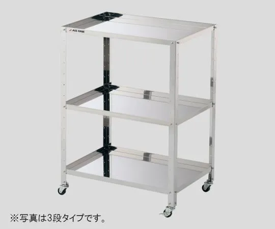 3-1556-01 Stainless Steel Wagon with Frame Regular Stages 460 x 310 x 809mm 2