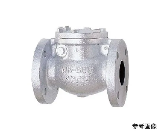 65-1886-80 Cast Iron JIS Standards Swing Chucking Valve (10 FCOS) Nominal Diameter 40 mm 10FCOS40A