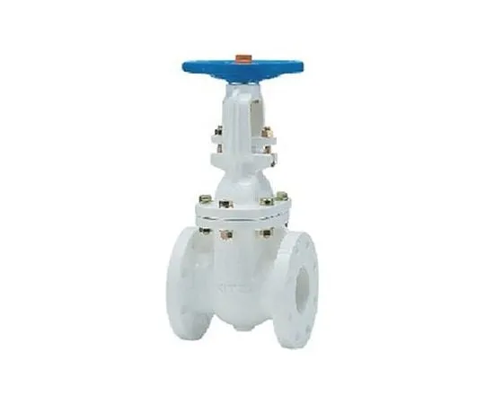 65-1887-24 Cast Iron nylon 11 Lining JIS Standards Gate Valve (5 FCMN) Nominal Diameter 65 mm 5FCMN65A
