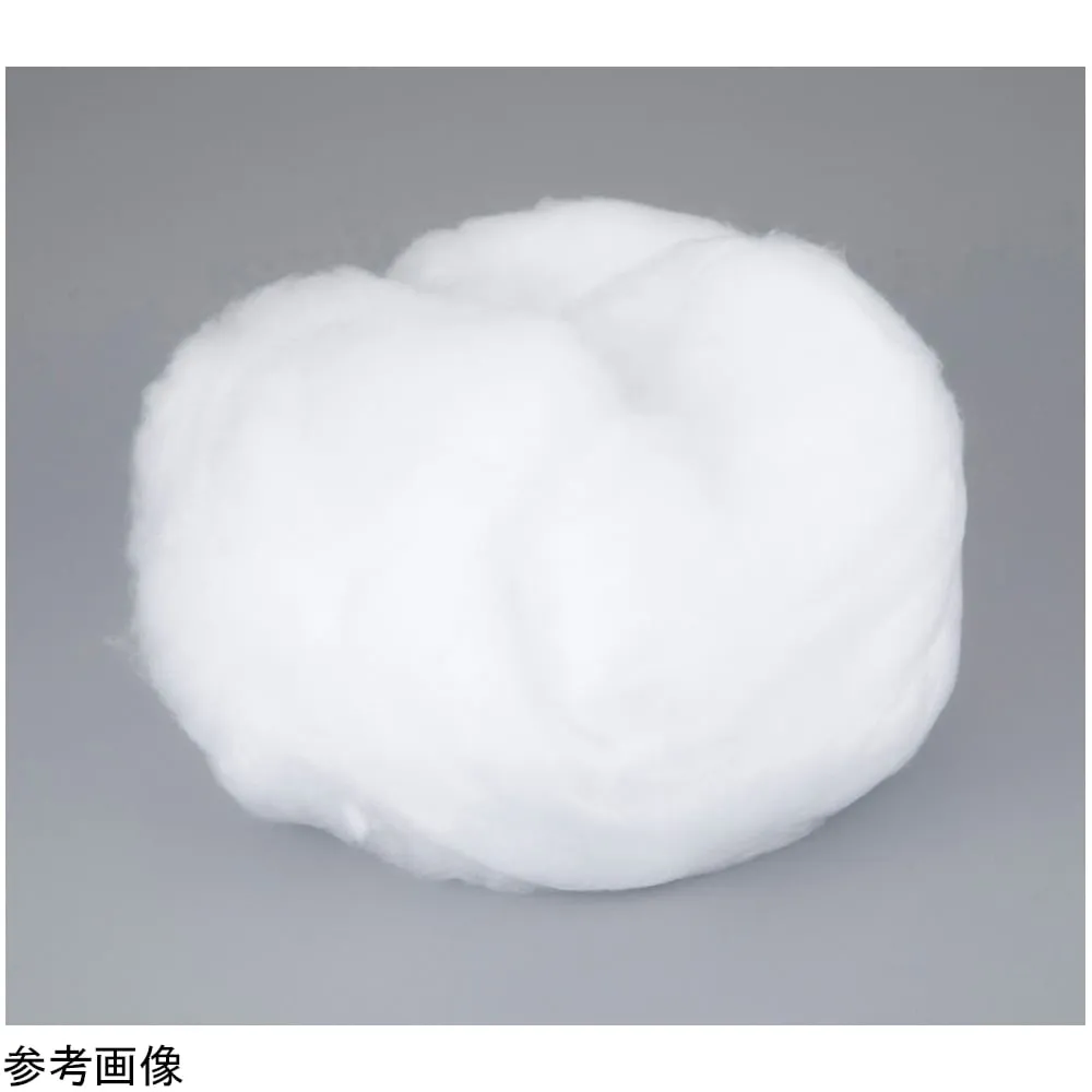 4-4949-01 Quartz Wool 1 ~ 3 micro m 10 g QW-1-3