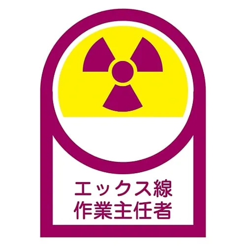 61-3381-96 Sticker For Helmet X-Ray Operation Chief HL-62 233062