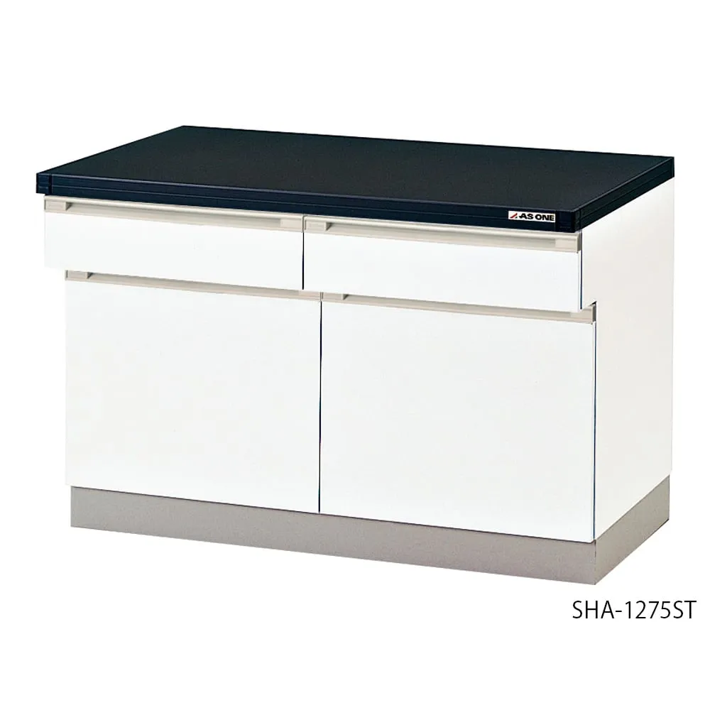 4-5569-01 Side Laboratory Table (Wooden, High Storage Type, with Scale) 450 x 750 x 800 mm SHA-475ST