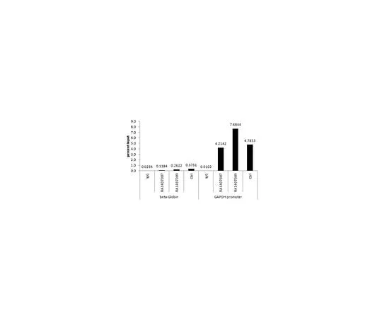 62-8382-41 Anti-acetyl-Histone H3 (Lys9); 200 μg 06-942