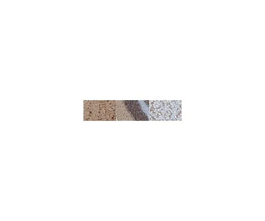 62-8450-84 Anti-MAP-2 AB5622-I