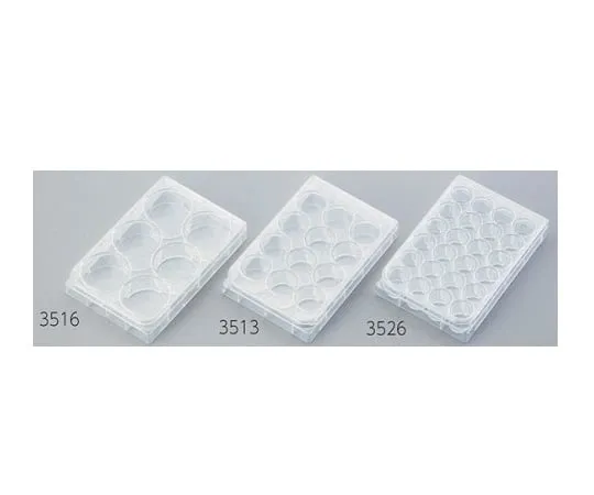 2-2065-01 Multiple Well Plate 6 Wells Flat Bottom 3516