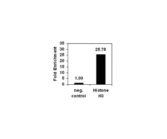 62-8393-99 ChIPAb+ Histone H3 (C-term); 25 assays 17-10046