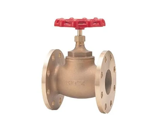 65-1888-12 General Purpose Globe Valve (BH) Nominal Diameter 15 mm BH15A